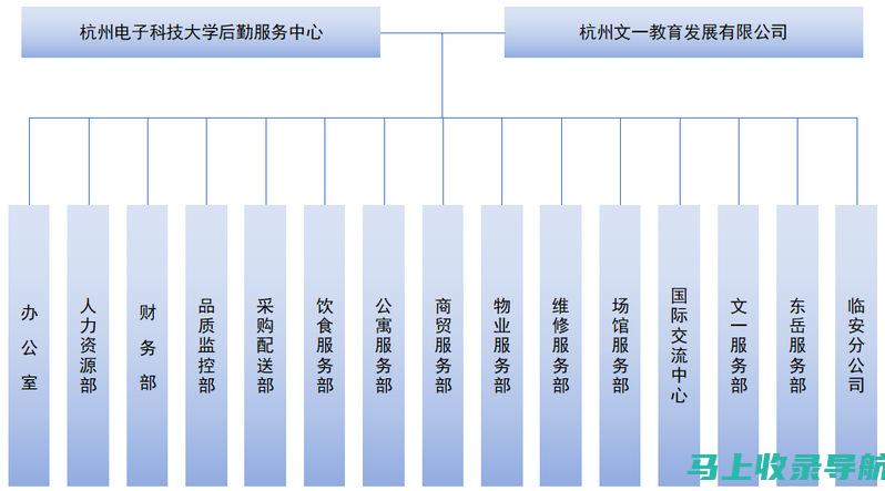 站长所属机构深度解析